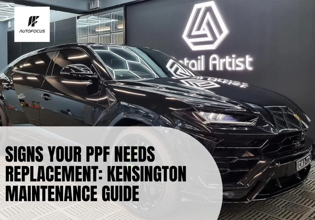 Premium paint protection film Kensington installation on Lamborghini URUS showing Suntek Reaction clear bra application for luxury SUV protection