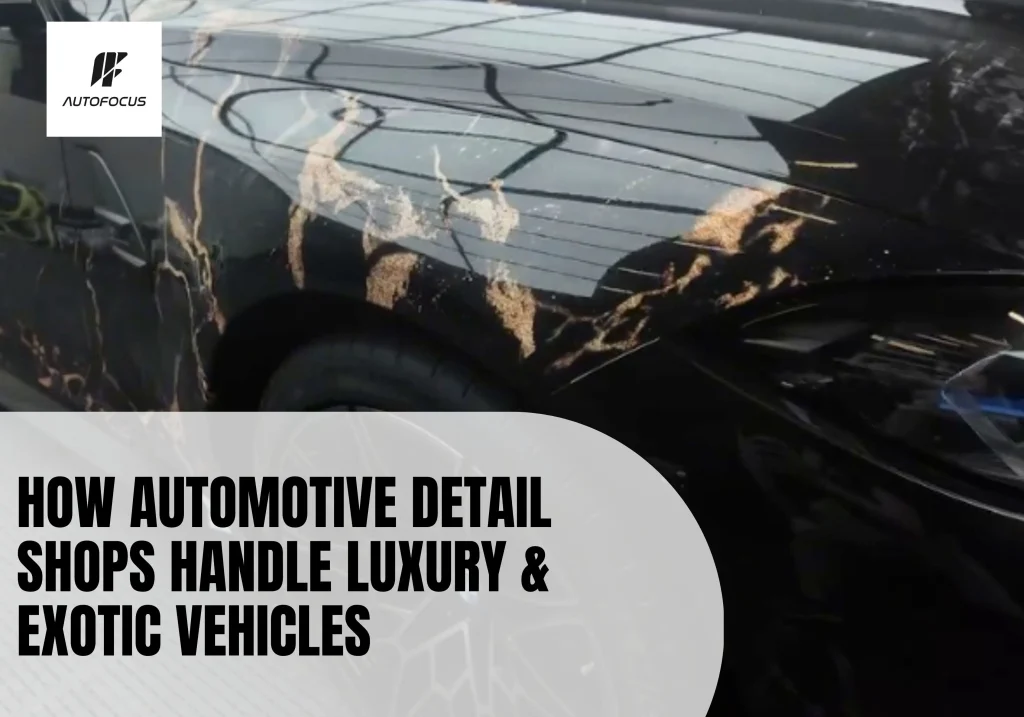 Professional vinyl wrap installation on a luxury sports car at an automotive detail shop showcasing a custom colour transformation and paint protection