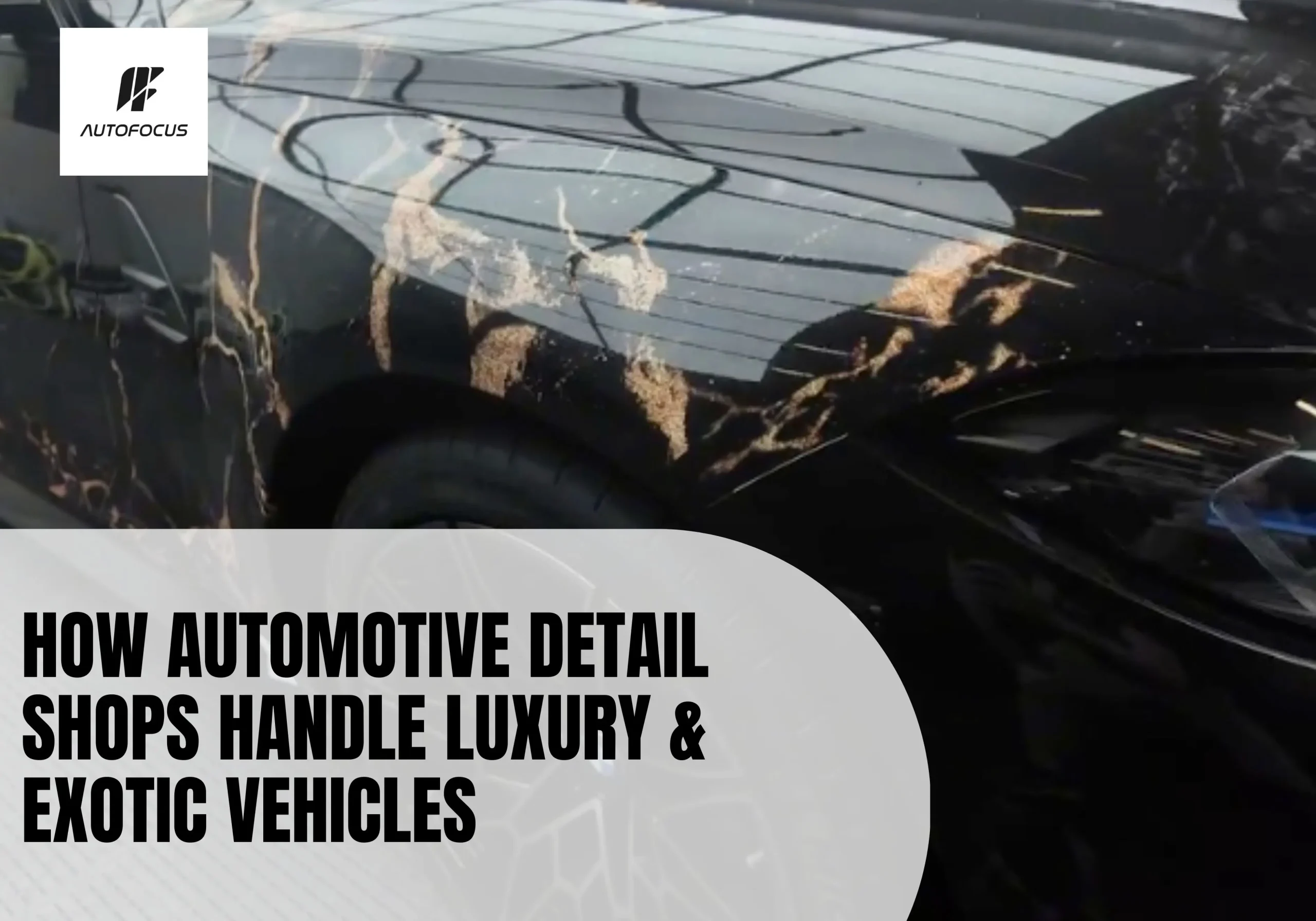 Professional vinyl wrap installation on a luxury sports car at an automotive detail shop showcasing a custom colour transformation and paint protection